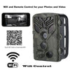 Image of Field tracking camera Live Wifi APP Bluetooth control hunting camera Wifi830 20MP 1080P Shopping