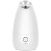 Image of Face Steamer Beauty Instrument Steam Face Sprayer Shopping111