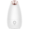 Image of Face Steamer Beauty Instrument Steam Face Sprayer Shopping111