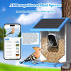 Image of Smart Bird Feeder With Camera,Solar-Powered WiFi 4MP Live Camera,AI Identify Bird Species Auto Capture Garden Bird Watching&Motion Detection,Ideal Gift For Bird Lovers,Blue Shopping