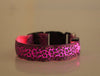 Image of LED Dog Collar Safety Adjustable Nylon Leopard Pet Collar Shopping