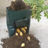 Image of PE cloth garden planting bag Shopping