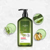 Image of Rosemary Shampoo Body Wash For Hair Care, Refreshing And Oil Control Shopping111