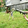 Image of Tennis shooting gun to send tennis pets Shopping