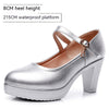 Image of Round Toe Shallow Mouth High Heel Thick Bottom Waterproof Platform Shoes Shopping