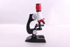 Image of Child Biological Science And Education Microscope Shopping