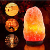 Image of Crystal salt lamp socket lamp creative decoration gift rose salt lamp night light bedside lamp Shopping