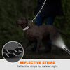 Image of Dogs Leash Running Elasticity Hand Freely Pet Products Dogs Harness Collar Jogging Lead And Adjustable Waist Rope Puppy Leash Lead Training Padded Handle Reflective Shopping