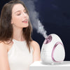 Image of Household Face Aromatherapy Steamer Cold And Hot Shopping111