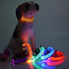 LED Dog Collar Safety Adjustable Nylon Leopard Pet Collar Shopping