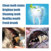 Image of Teeth Brightening Pen For Pet Teeth Repairing Kit,Pet Dog Cat Teeth Cleaning Pen For Dental Care,Pet Teeth Whitening Pen Tool Dog Tooth Cleaning Pen - Resin Dental Plaque Tartar Remover Shopping