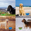 Image of 350 And 1000ML Dog Bowls Folding Silicone Puppy Food Container Portable Cat Water Feeder For Travel Walking Pet Supplies Shopping