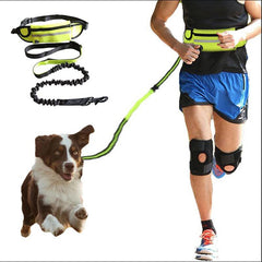 Hands Free Dog Leash Pet Walking And Training Belt With Shock Absorbing Bungee Leash For Up To 180lbs Large Dogs Phone Pocket And Water Bottle Holder Shopping