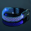 Image of LED Dog Collar Safety Adjustable Nylon Leopard Pet Collar Shopping