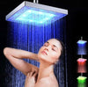 Image of Luminous color changing shower head Shopping