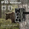 Image of HC801A hunting camera Shopping