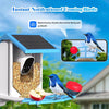 Image of Smart Bird Feeder With Camera,Solar-Powered WiFi 4MP Live Camera,AI Identify Bird Species Auto Capture Garden Bird Watching&Motion Detection,Ideal Gift For Bird Lovers,Blue Shopping