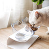 Image of Non Slip Double Cat Bowl With Raised Stand Pet Food Cat Feeder Protect Cervical Vertebra Dog Bowl Transparent Pet Products Shopping