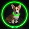 Image of Pet Flashing Collar USB Rechargeable Glowing Necklace Safety Collar Light Up Collars For Night Walking Electric Dog Collar Neon Shopping