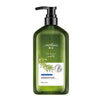 Image of Rosemary Shampoo Body Wash For Hair Care, Refreshing And Oil Control Shopping111