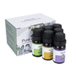 Image of Essential oils 6 units kit Shopping111