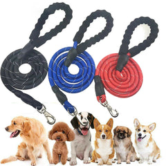 Dogs Leash Running Elasticity Hand Freely Pet Products Dogs Harness Collar Jogging Lead And Adjustable Waist Rope Puppy Leash Lead Training Padded Handle Reflective Shopping