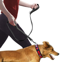 Pet Double Handle Pull Leash Shopping