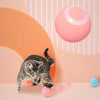 Image of Electric Cat Ball Toys Automatic Rolling Smart Cat Toys for Cats Training Self-moving Kitten Toys for Indoor Interactive Playing Shopping