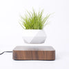 Image of Hot Sale Levitating Air Bonsai Pot Rotation Planters Magnetic Levitation Suspension Flower Floating Pot Potted Plant Desk Decor Shopping