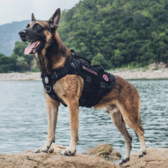 OneTigris X DESTROYER K9 Harness 3 Handled Heavy Duty Dog Vest With Metal Buckles MOLLE Training Harness for Service Dog