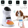 Image of Iseebiz 3L Automatic Cat Feeder Dog Food Dispenser with Camera Support Voice Record App Control 8 Times One Day Pet Accessories Shopping