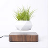 Image of Hot Sale Levitating Air Bonsai Pot Rotation Planters Magnetic Levitation Suspension Flower Floating Pot Potted Plant Desk Decor Shopping