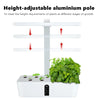 Image of Garden Hydroponics Growing System Indoor Herb Garden Kit Automatic Timing LED Grow Lights Smart Water Pump for Home Flower Pots Shopping