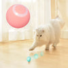 Image of Electric Cat Ball Toys Automatic Rolling Smart Cat Toys for Cats Training Self-moving Kitten Toys for Indoor Interactive Playing Shopping