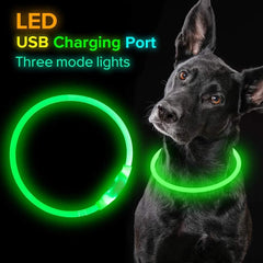 Pet Flashing Collar USB Rechargeable Glowing Necklace Safety Collar Light Up Collars For Night Walking Electric Dog Collar Neon Shopping