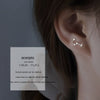 Image of S925 Sterling Silver Constellation Stud Earrings For Women Shopping